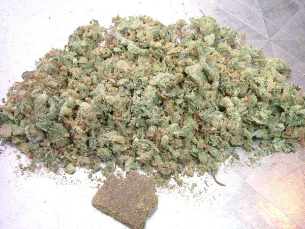 marijuanaholland.jpg