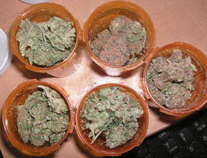 medicalmarijuanajars