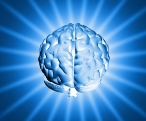 shiny-brain-1254880-m.jpg