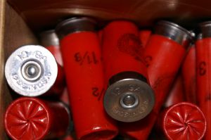 shotgun-shells-1207089-m.jpg