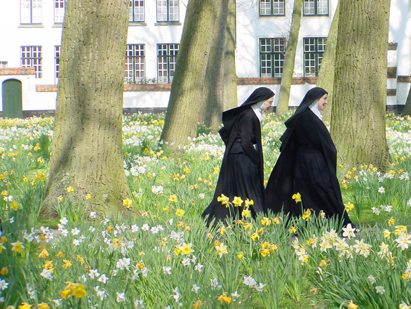 walking-nuns-1460526.jpg