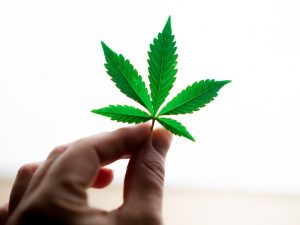 Los Angeles marijuana business lawyer