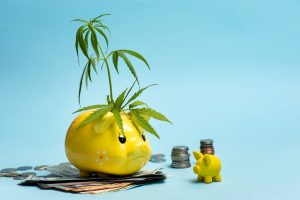 Los Angeles marijuana banking and tax attorney