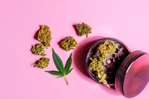 California cannabis samples legality