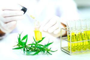 California THC potency lawsuit